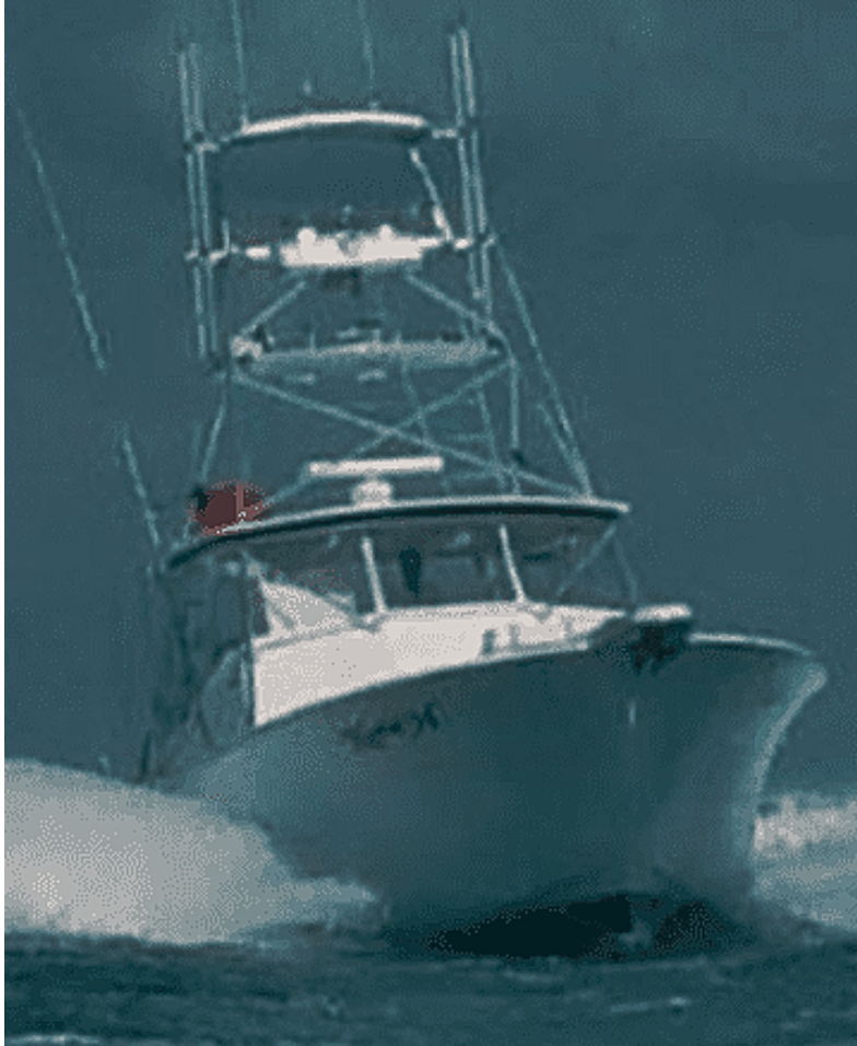 Katie H Sportfishing Charter, Belmar, NJ