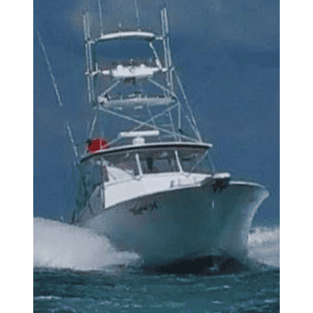 Katie H Sportfishing Charter in Belmar